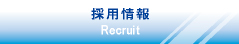 採用情報
